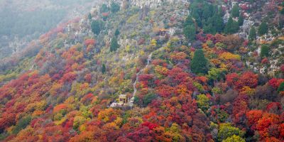 远山寒山石径斜