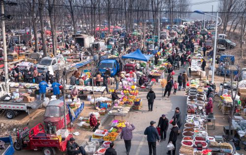 鲁南年集（一）