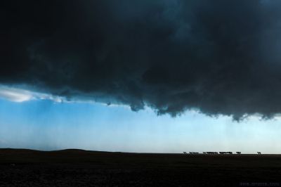 [原创]山雨欲来马蹄疾