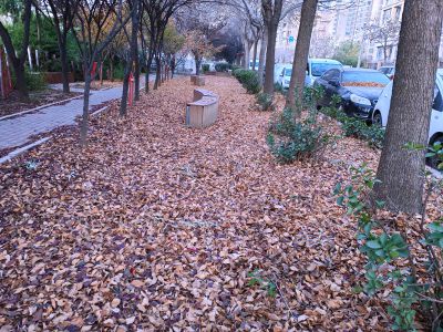 市民公园的早晨4