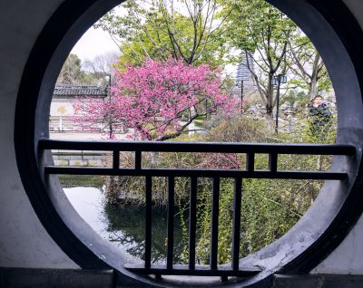 一池梅塔映园窗
