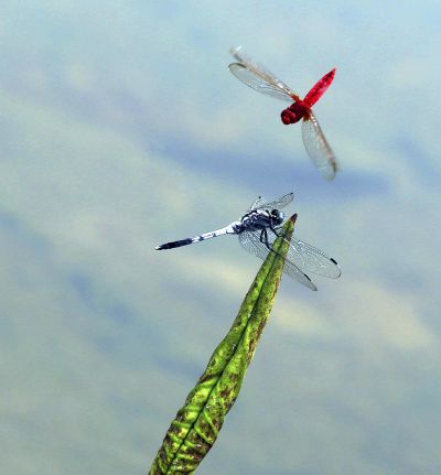 有缘千里来相会