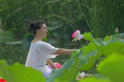 芙蓉向脸两边开
