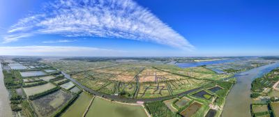 运河岸边生态美