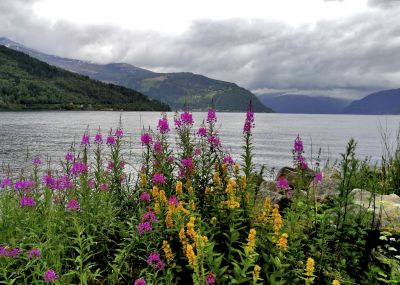挪威……掠过那片峡湾