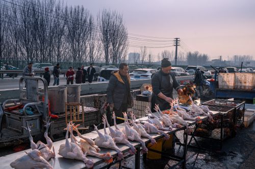 鲁南年集（二）