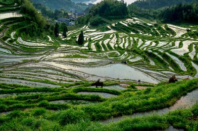 天光云影共徘徊