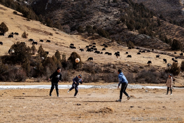 藏族少年足球梦（组照）