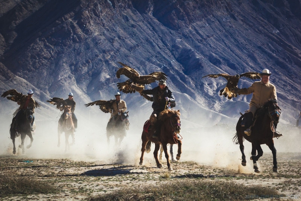 飞奔的柯尔克孜猎鹰队