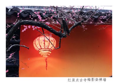 铁佛古寺，梅影映红墙。