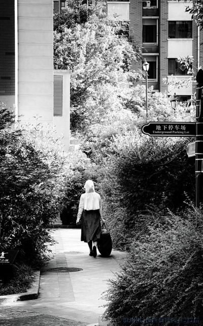 [原创]《轻轻的你走了》