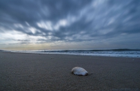 [原创]【孤 独】