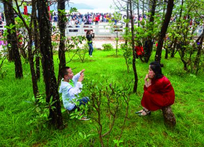 《小小摄影家》
