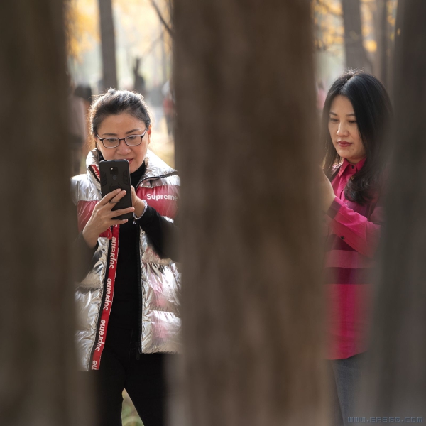 《挡不住的诱惑》