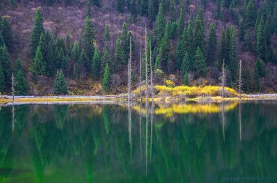[原创]毕棚沟风光