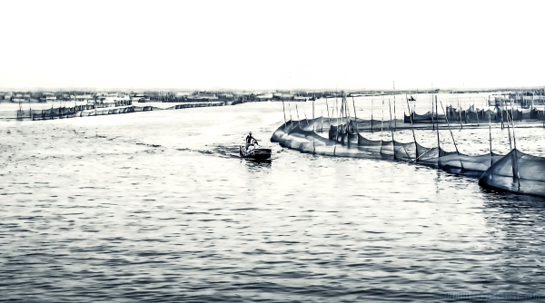 《醉美东平湖》