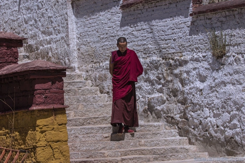 [原创]台阶上的喇嘛