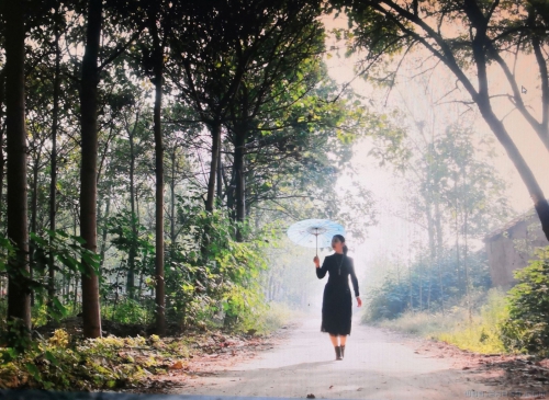 [原创]《黄河滩区老村———走一遭》