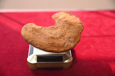 夏津县德百旅游小镇15