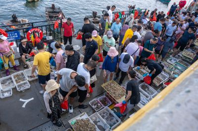 繁华的渔港码头