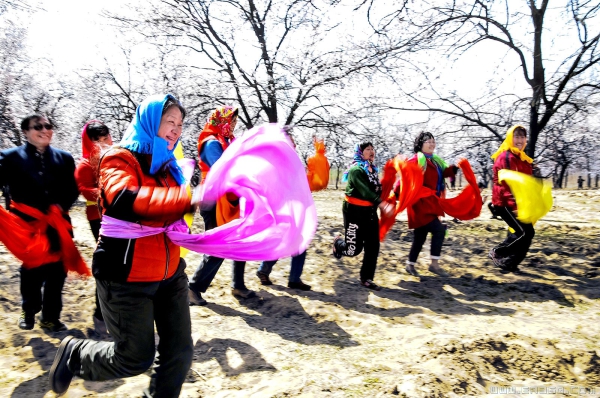 《情不自禁舞翩跹》