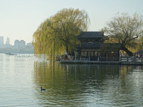 冬日暖阳大明湖