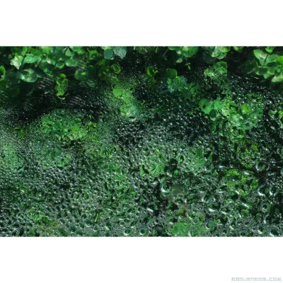 [原创]每一段相遇不一定结局，但一定有意义。  青苔