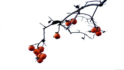 [原创]事事如意