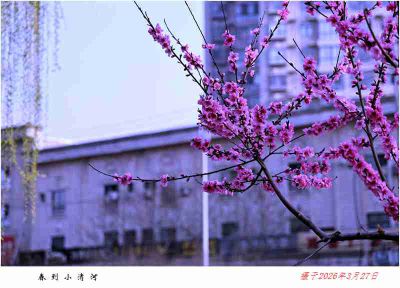 春到城河边——10