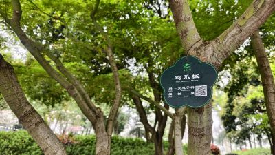 南京玄武湖踏青赏花13