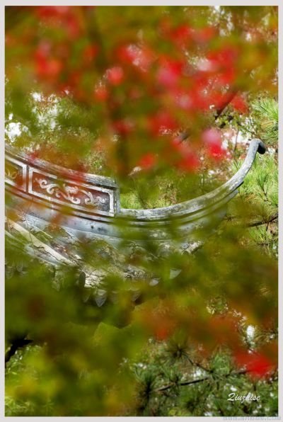 [原创]【秋之色】