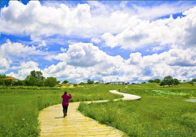 [原创]追逐草原上的雪浪花