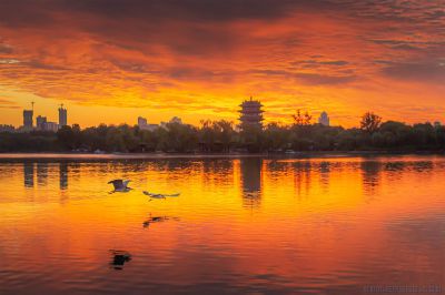 [原创]明湖朝霞红胜火