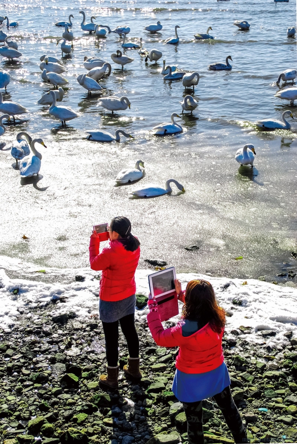 《精彩不容错过》
