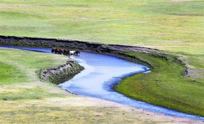 呼伦贝尔草原湿地一览（3）