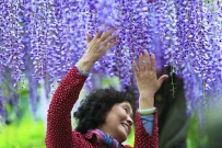 [原创]赏花的喜悦