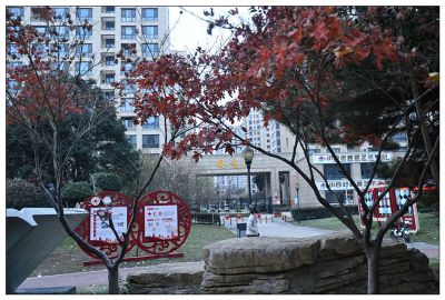 弘道公园的早晨7