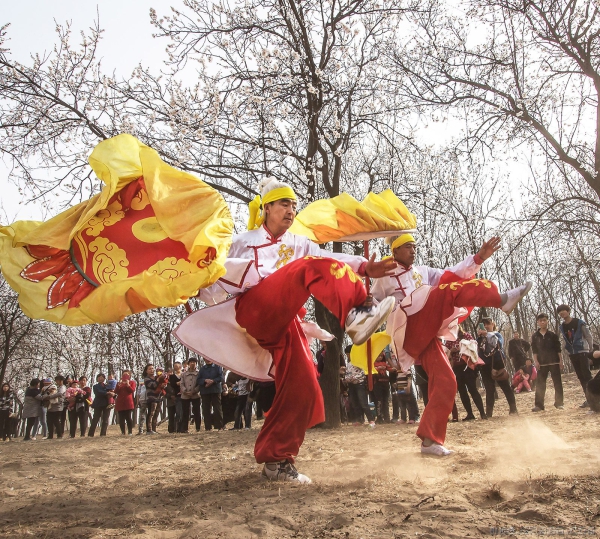 《杏林里的春天》