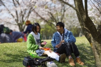 [原创] 樱花季节 —— 你考虑得怎么样了？