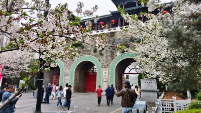 南京玄武湖踏青赏花18