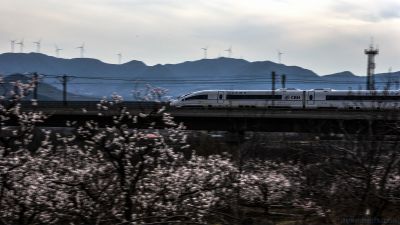 [原创]春光明媚向前进