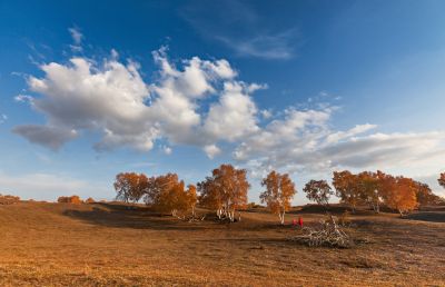 《很想摘下一片云》