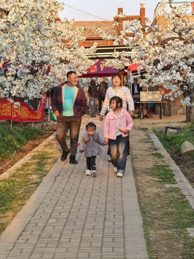 一家人的春日梨园行。