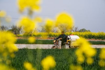 你看花，花看人