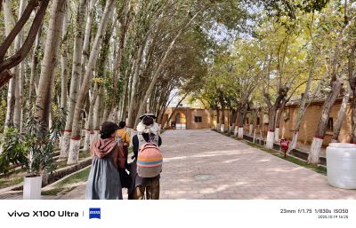 艾提尕尔清真寺2