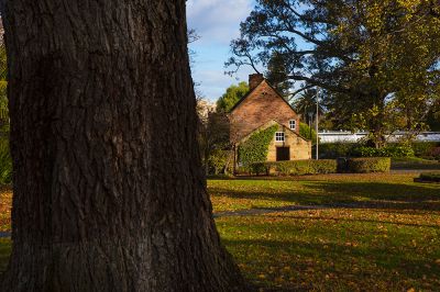 澳大利亚采风之旅 —— 墨尔本菲兹洛伊花园秋色（二）