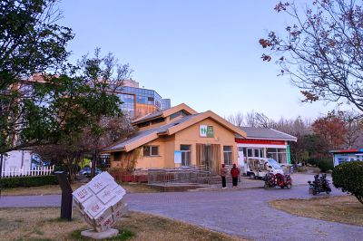 市民公园的早晨6