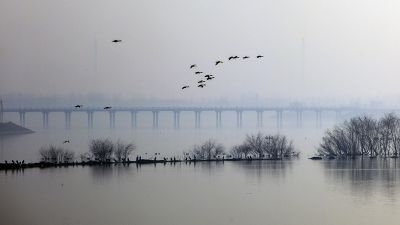 济南天桥沉砂池晨雾2