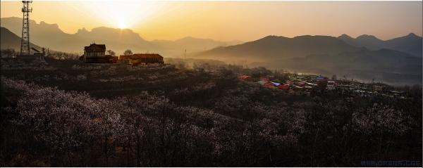 [原创]曙光初照杏花村