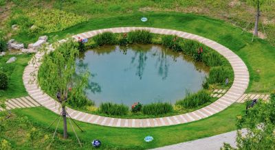 济南的白泉泉群5